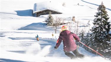 Image for: Tageskarte Senior erm. inkl. Parken